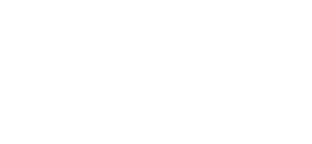 logo-gavi.webp